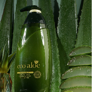 상쾌하게 풍부한거품 허브성분함유 알로에 샴푸 760ml