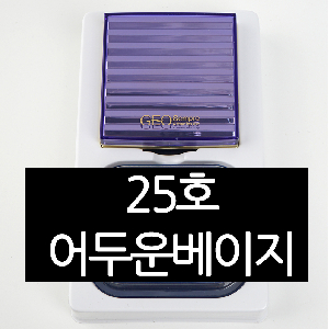 습식성형방식 투웨이 케이크 리필증정 10.5g 25호